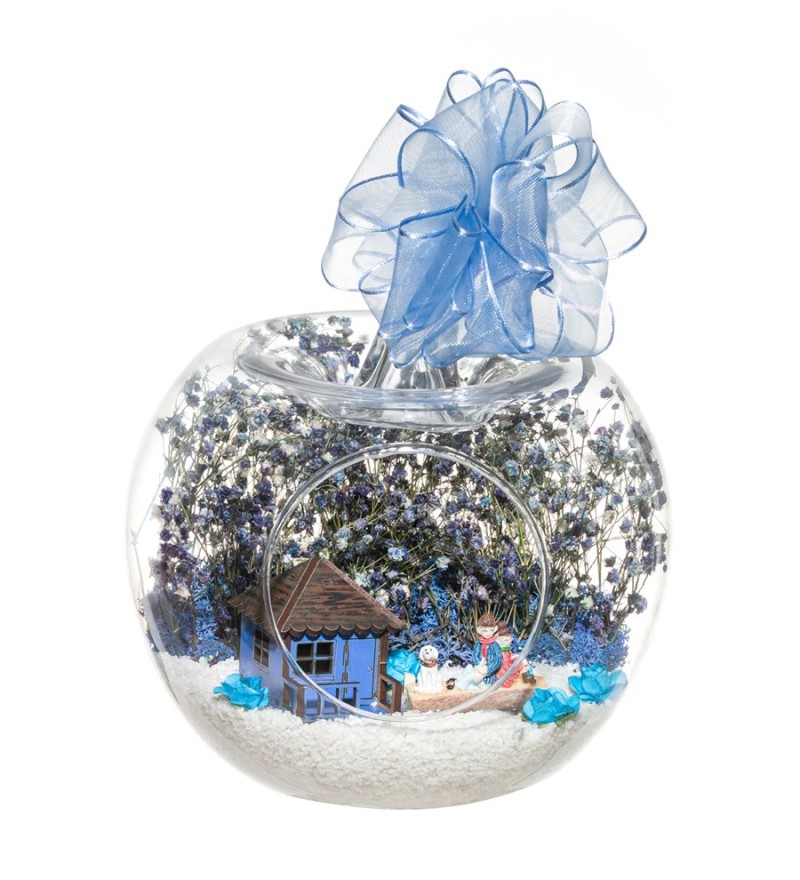 Teraryum Rüya Gibi Evimiz Mavi